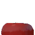 tomato booooo